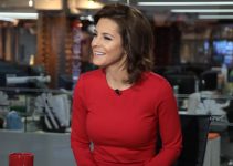 Did Stephanie Ruhle Undergo Plastic Surgery? Body Measurements and More!