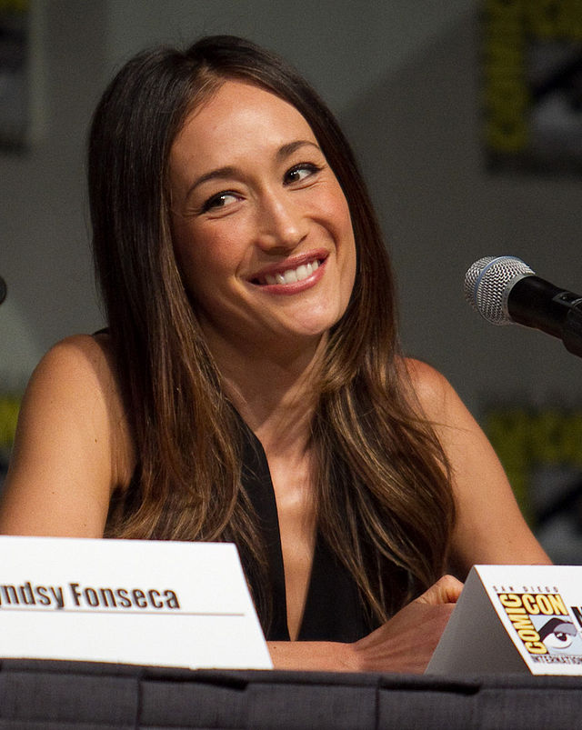 Maggie Q Cosmetic Surgery Face
