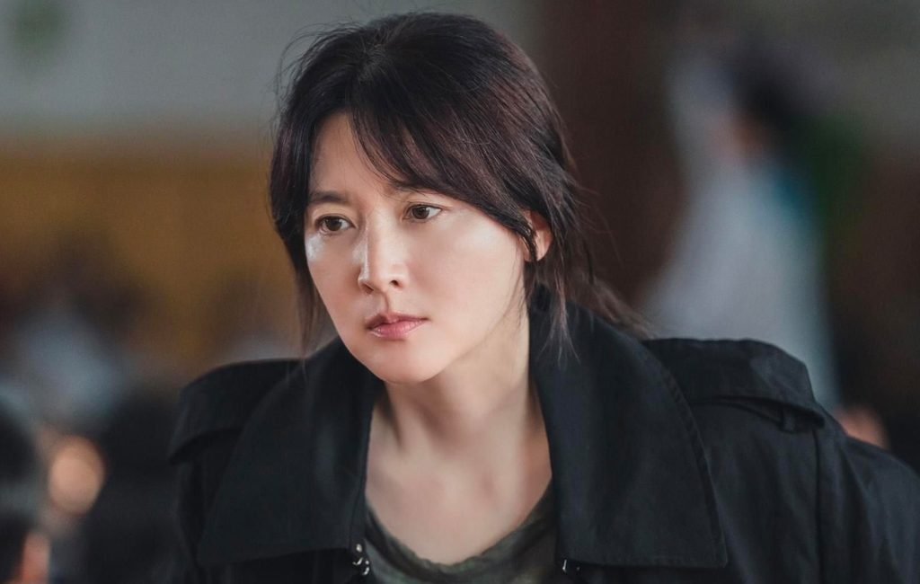 Lee Young-ae Cosmetic Surgery Face