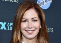 Dana Delany’s Plastic Surgery – What We Know So Far