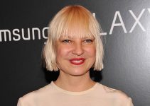 Sia’s Plastic Surgery: The Untold Story