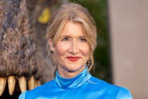 Laura Dern’s Rhinoplasty and Botox: Rumors of Plastic Surgery Revealed