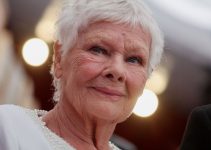 Judi Dench Plastic Surgery: Botox and Facelift Rumors Debunked